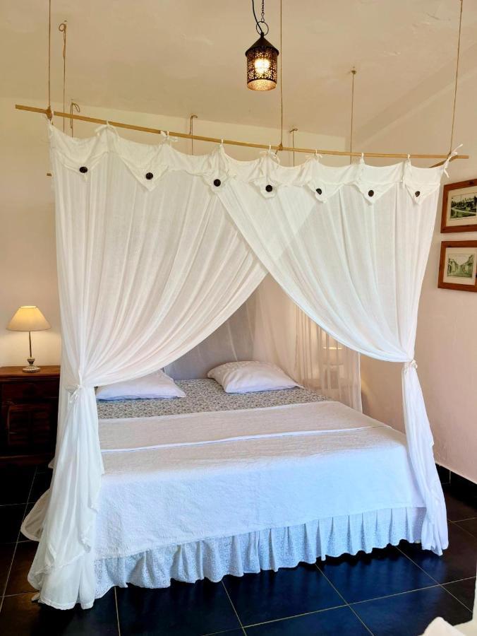 Habitation La Reine Du Camp Chambres D'Hotes Saint-Claude Ngoại thất bức ảnh