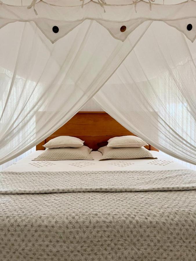 Habitation La Reine Du Camp Chambres D'Hotes Saint-Claude Ngoại thất bức ảnh